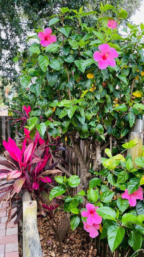 卡纳维拉尔角Casa Flamingo别墅 外观 照片