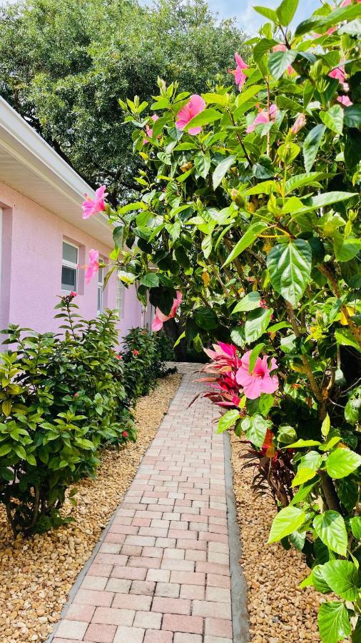 卡纳维拉尔角Casa Flamingo别墅 外观 照片